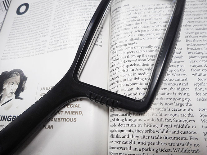 hand magnifier, hand magnifying glass, large magnifier