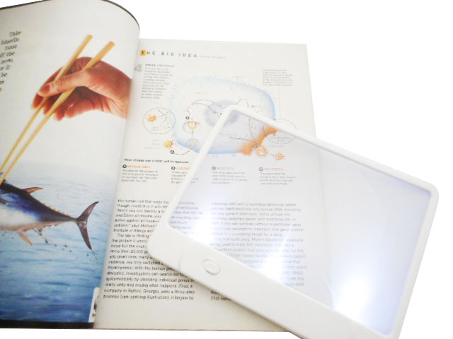 LED Light Page Book Magnifier with Reading